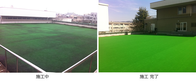 屋上芝生施工